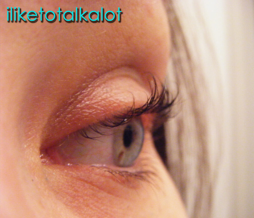 close up of lash perm results 1