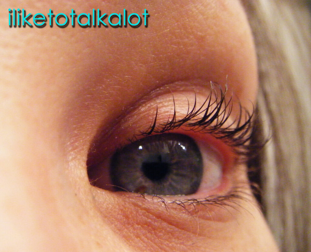 close up of lash perm results 2